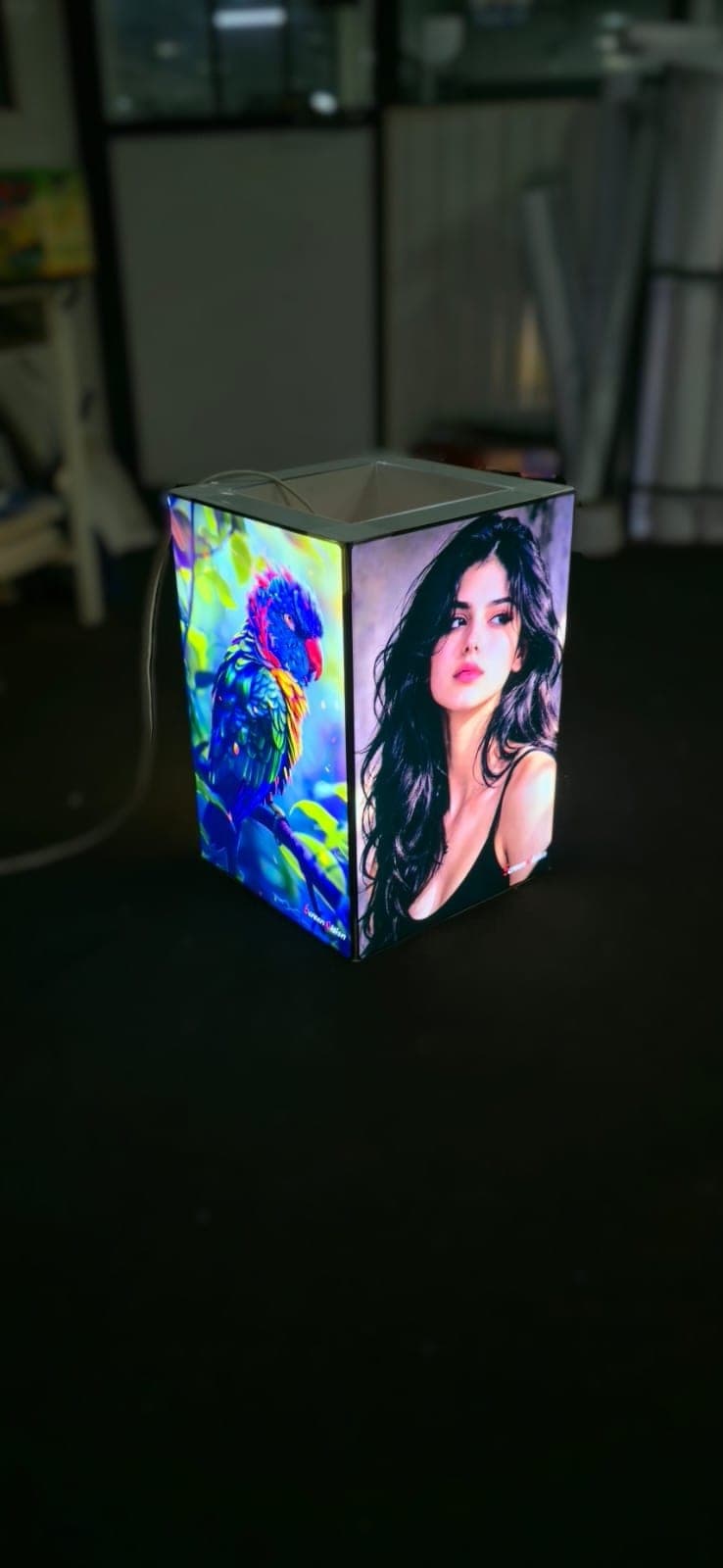 Four-sided backlit lightbox cube with printed parrot and portrait graphics, lit in the workshop